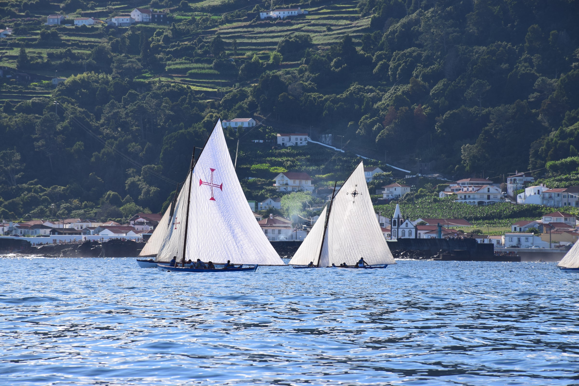 Botes baleeiros hoje · regata em Santa Cruz