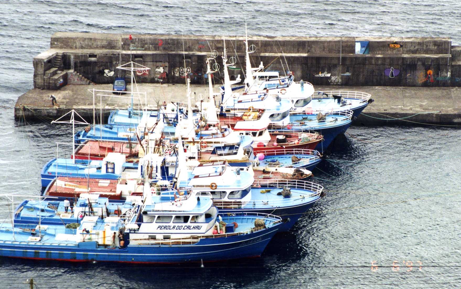 Traineiras no porto de Santa Cruz · pesca do atum